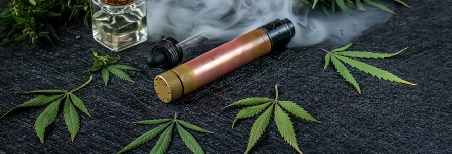 Vaporisateur d'herbes